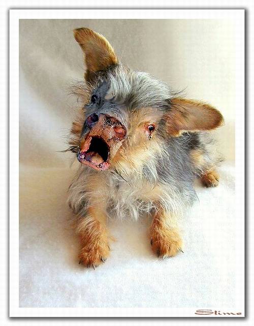 Photoshop-Design von Slime für DesignCrowd (Community Contests) | Design #9158484