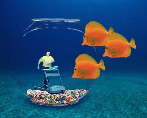 Photoshop Design by ARagMan for DesignCrowd (Community Contests) | Design #9158520