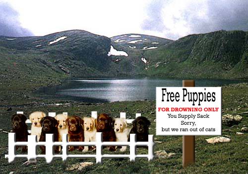 Photoshop-Design von Voices für DesignCrowd (Community Contests) | Design #9158506