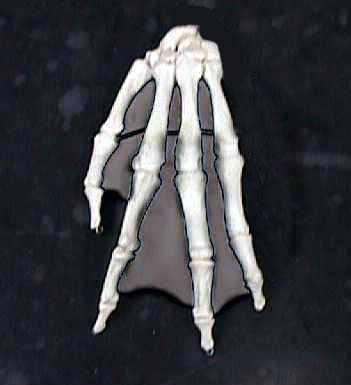 Photoshop Design by Kanada for DesignCrowd (Community Contests) | Design #9158615