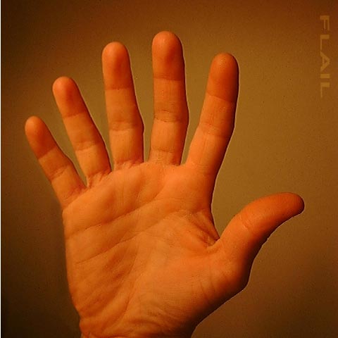 Photoshop Design by Flail for DesignCrowd (Community Contests) | Design #9158372