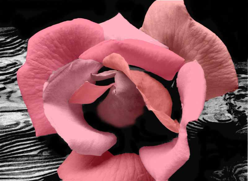 Photoshop Design by FullMoonMaiden for DesignCrowd (Community Contests) | Design #9158748