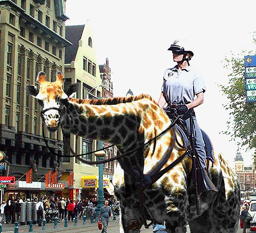 Diseño de Photoshop por steveo para DesignCrowd (Community Contests) | Diseño #9158781