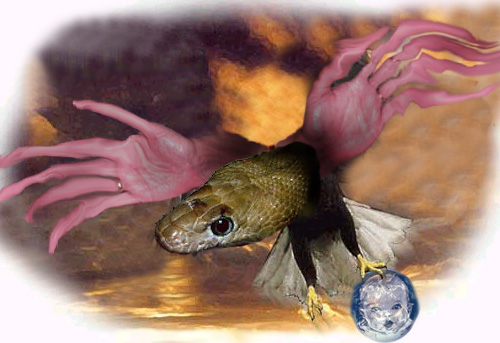 Photoshop Design by freetime for DesignCrowd (Community Contests) | Design #9158297