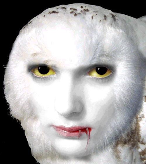 Diseño de Photoshop por steveo para DesignCrowd (Community Contests) | Diseño #9158304