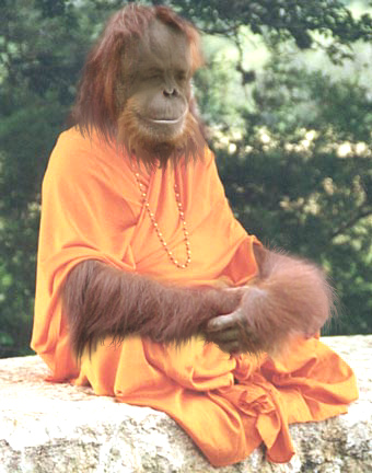 Photoshop Design by unapologetic for DesignCrowd (Community Contests) | Design #9158301