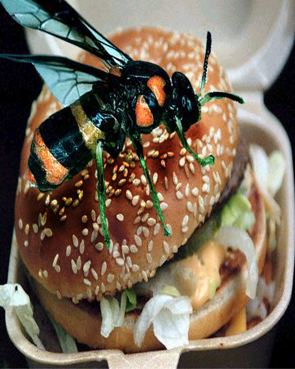 Photoshop Design by freetime for DesignCrowd (Community Contests) | Design #9140291