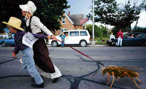 Diseño de Photoshop por fRedline para DesignCrowd (Community Contests) | Diseño #9140293