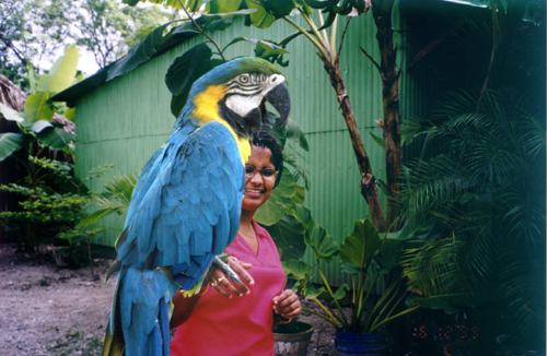 Photoshop-Design von Flippant für DesignCrowd (Community Contests) | Design #9140346