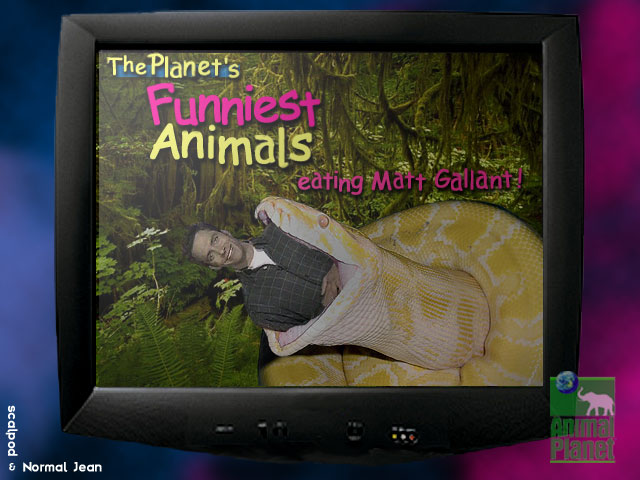 Photoshop-Design von scalpod für DesignCrowd (Community Contests) | Design #9140348