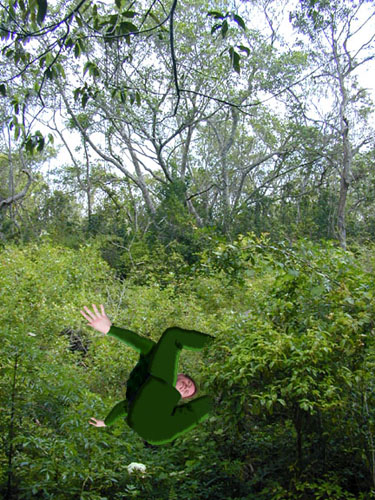 Photoshop Design by The__Betrayer__of__Hope for DesignCrowd (Community Contests) | Design #9156498