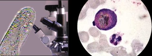 Photoshop Design by g8r4g8rz for DesignCrowd (Community Contests) | Design #9150468