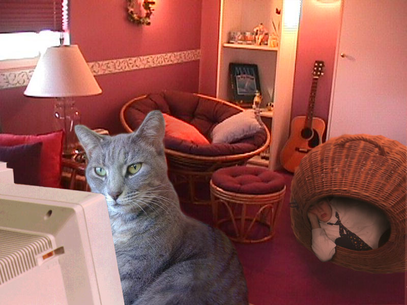 Photoshop Design by Cyn for DesignCrowd (Community Contests) | Design #9150507