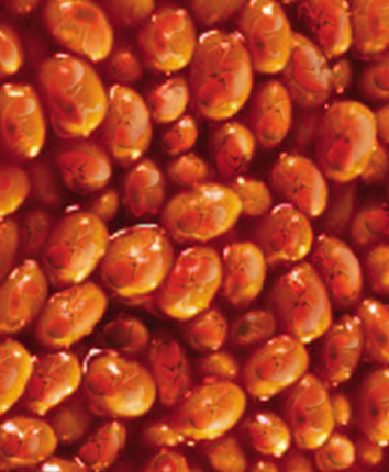 Design Photoshop par generalben pour DesignCrowd (Community Contests) | Design #9156016