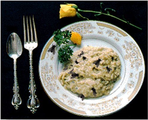 Photoshop-Design von Tincupid für DesignCrowd (Community Contests) | Design #9156055