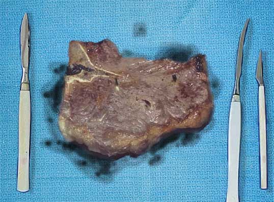 Design Photoshop par Swamptromp pour DesignCrowd (Community Contests) | Design #9156078