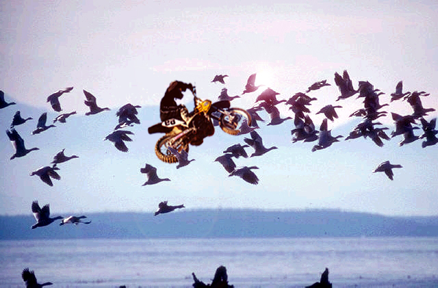 Photoshop Design by chandika for DesignCrowd (Community Contests) | Design #9156375