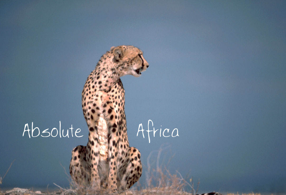 Design Photoshop par dnowhat pour DesignCrowd (Community Contests) | Design #9153003