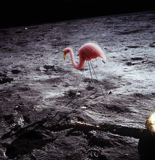 Photoshop Design by Cyn for DesignCrowd (Community Contests) | Design #9156383