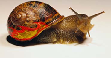 Photoshop-Design von dimthecranialpenetration für DesignCrowd (Community Contests) | Design #9155754