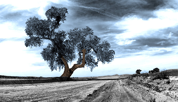 Diseño de Photoshop por Invictus para DesignCrowd (Community Contests) | Diseño #9156010