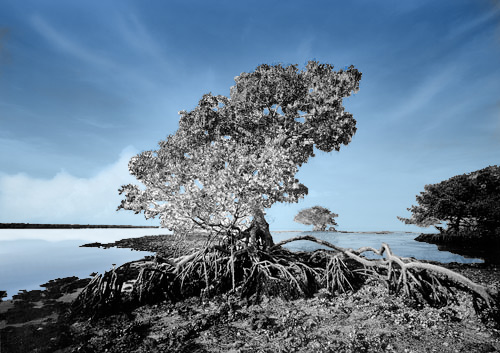 Design Photoshop par justchris pour DesignCrowd (Community Contests) | Design #9156023