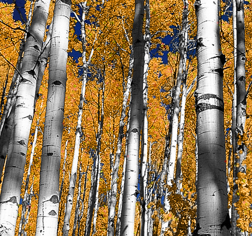 Photoshop-Design von Binder für DesignCrowd (Community Contests) | Design #9156035