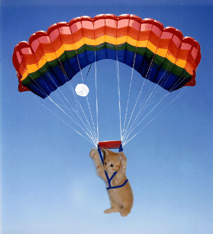 Design Photoshop par dnowhat pour DesignCrowd (Community Contests) | Design #9156164