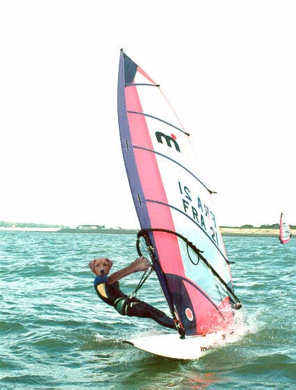 Design Photoshop par gihel pour DesignCrowd (Community Contests) | Design #9139725