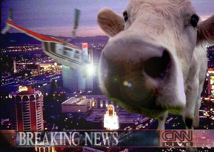 Photoshop Design by chandika for DesignCrowd (Community Contests) | Design #9153346