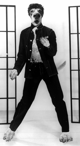 Design Photoshop par princeok pour DesignCrowd (Community Contests) | Design #9139774