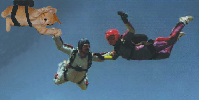 Diseño de Photoshop por MC__Hamster para DesignCrowd (Community Contests) | Diseño #9156222