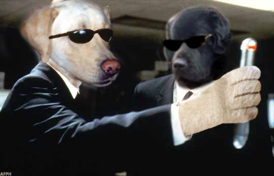 Design Photoshop par nonick pour DesignCrowd (Community Contests) | Design #9139791