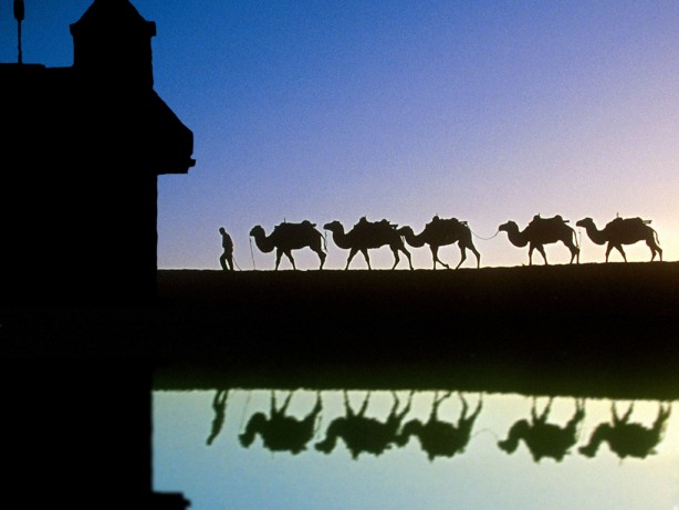 Photoshop Design by 404 for DesignCrowd (Community Contests) | Design #9153289