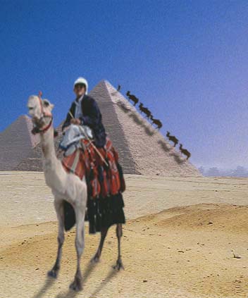 Design Photoshop par chandika pour DesignCrowd (Community Contests) | Design #9153302