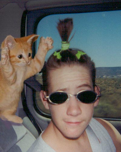 Photoshop-Design von seeker für DesignCrowd (Community Contests) | Design #9156218