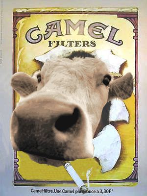 Diseño de Photoshop por jimmycurn para DesignCrowd (Community Contests) | Diseño #9153356