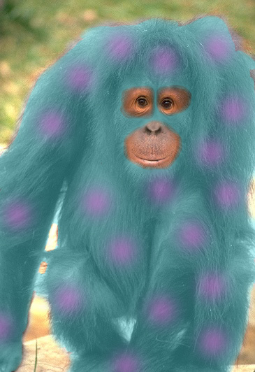 Design Photoshop par pugboy pour DesignCrowd (Community Contests) | Design #9139805