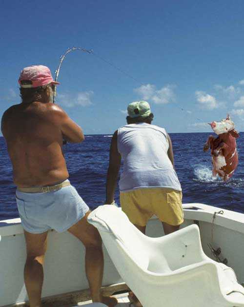 Diseño de Photoshop por Mojax para DesignCrowd (Community Contests) | Diseño #9156187