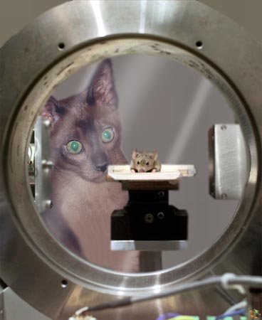 Design Photoshop par FroggyFrenchMan pour DesignCrowd (Community Contests) | Design #9138663