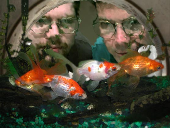 Photoshop Design by muckpond for DesignCrowd (Community Contests) | Design #9138789