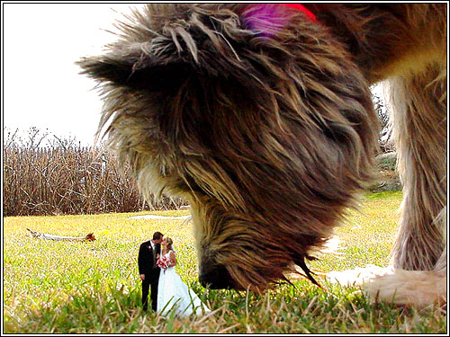 Photoshop-Design von Gonzo für DesignCrowd (Community Contests) | Design #9155393