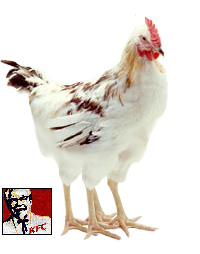 Diseño de Photoshop por occam para DesignCrowd (Community Contests) | Diseño #9156270