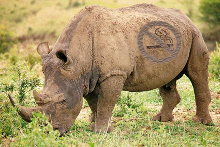 Diseño de Photoshop por mr_exciting para DesignCrowd (Community Contests) | Diseño #9148641