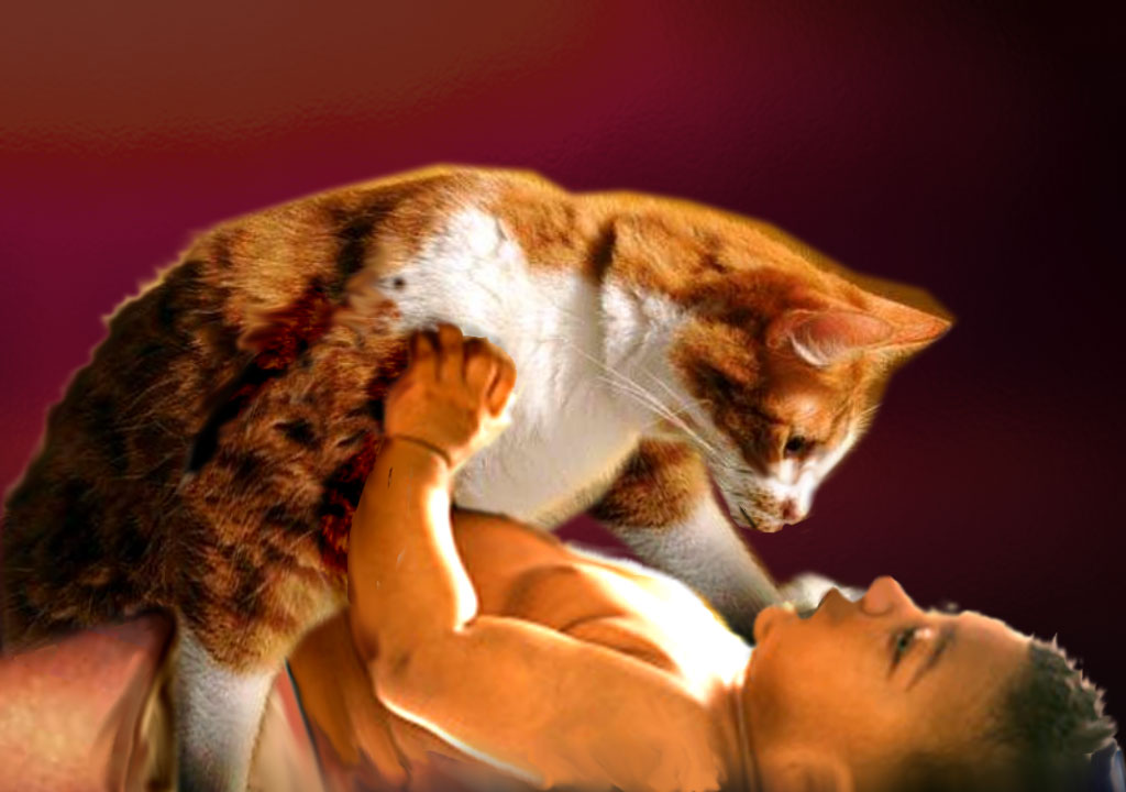 Photoshop Design by Hawk2e for DesignCrowd (Community Contests) | Design #9156357