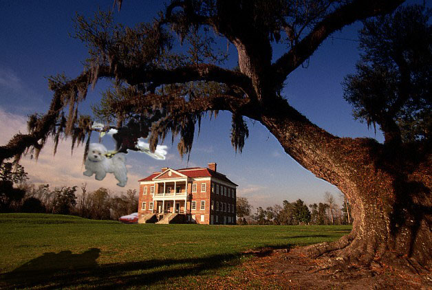 Photoshop-Design von dark2025 für DesignCrowd (Community Contests) | Design #9156365