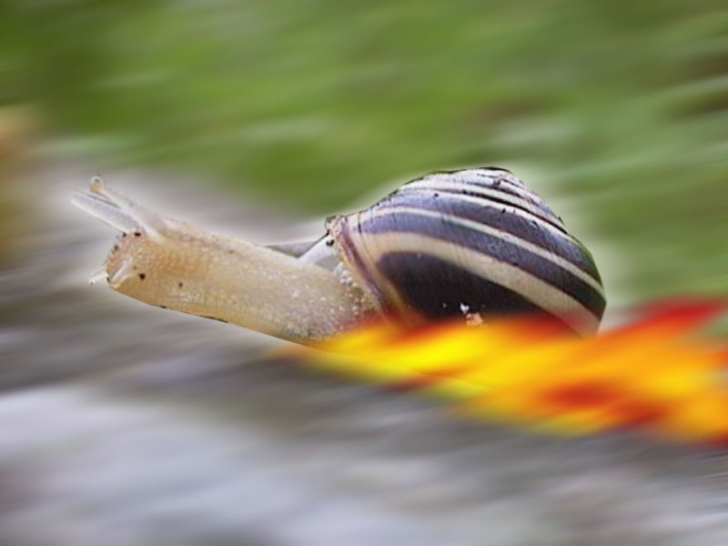 Photoshop-Design von quack_head für DesignCrowd (Community Contests) | Design #9148764