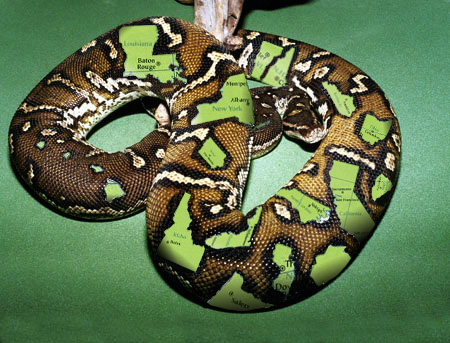 Photoshop-Design von Binder für DesignCrowd (Community Contests) | Design #9148736