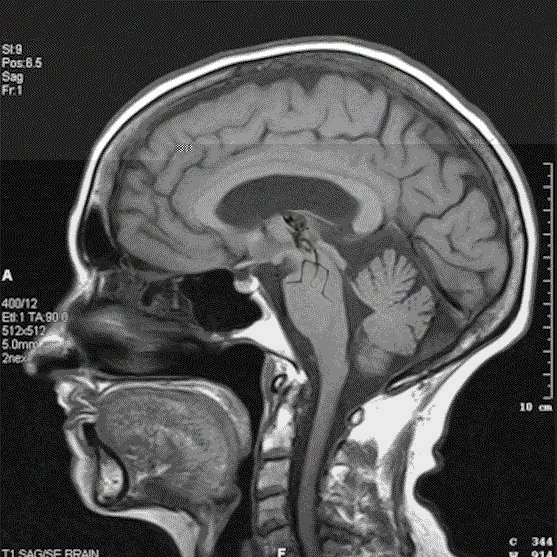 Design Photoshop par SiIkenFairy pour DesignCrowd (Community Contests) | Design #9153013