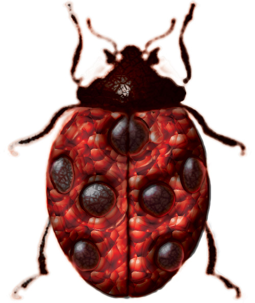 Photoshop Design by Dveil for DesignCrowd (Community Contests) | Design #9148769